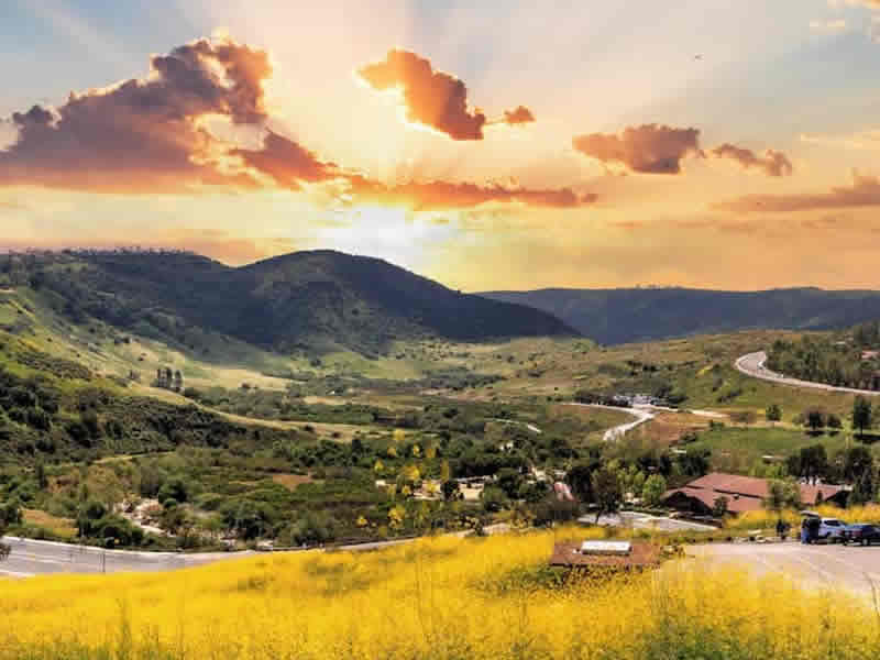 Real Estate Shelly Reyland RE/MAX Coastal Homes