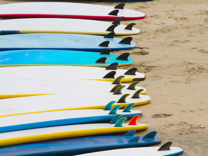 Real Estate Shelly Reyland RE/MAX Coastal Homes