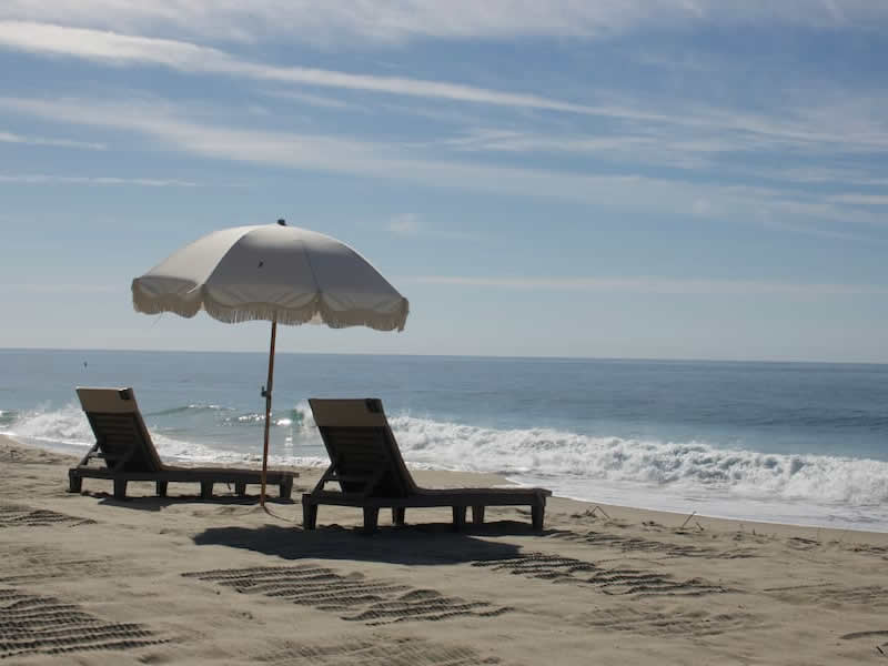 Real Estate Shelly Reyland RE/MAX Coastal Homes